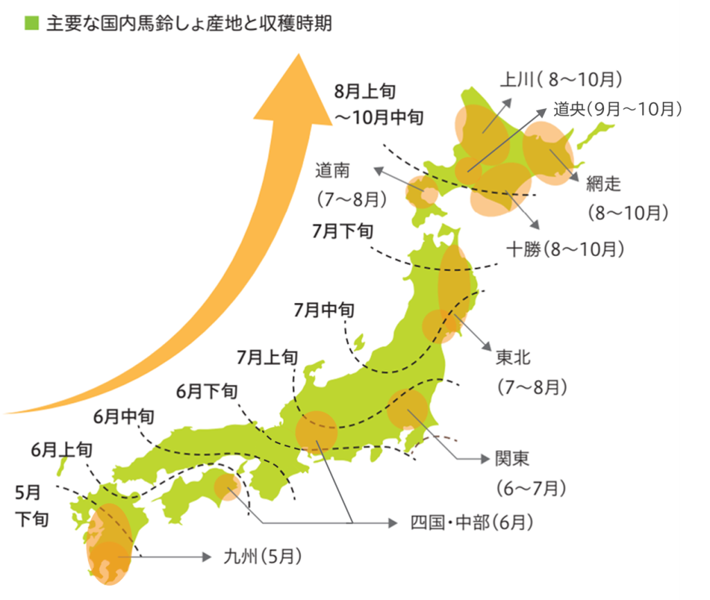 主要な国内馬鈴しょ産地と収穫時期