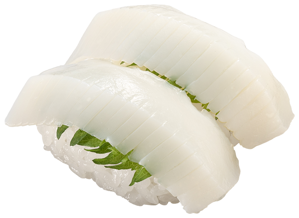 青森産 ムラサキいか