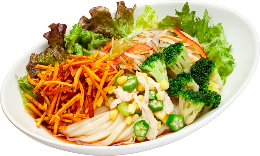 10種野菜のサラダうどん