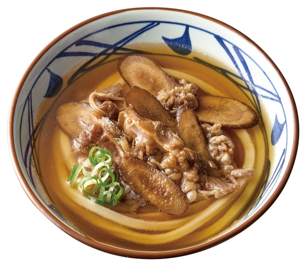 肉ごぼううどん