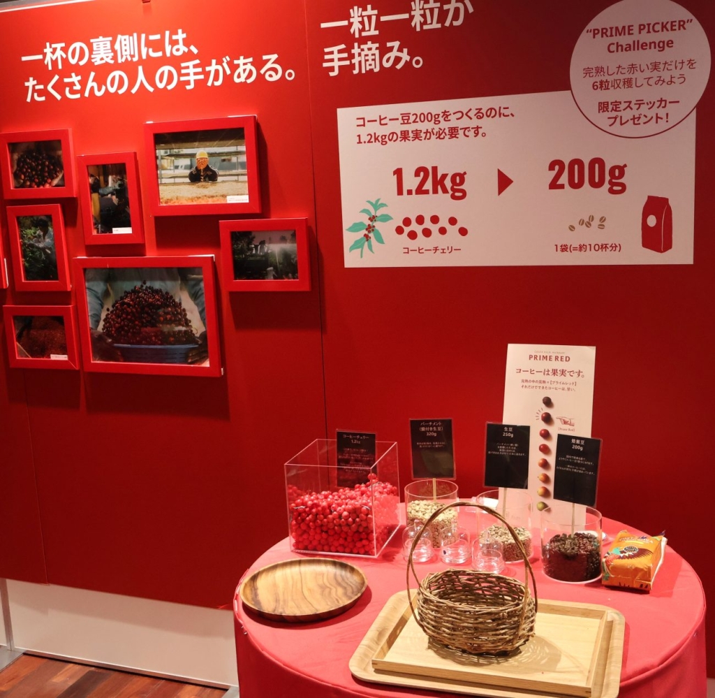 会場ではコーヒーチェリーから焙煎豆になるまでの工程を紹介する展示も