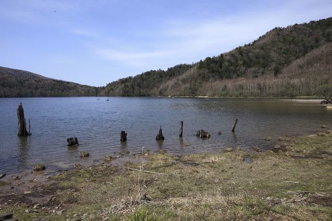 水源涵養活動はボトリング社の協力で12年から順次開始