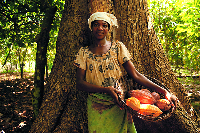 「ネスレ　カカオプラン」はカカオ農家を社会的にも経済的にも豊かにするねらい