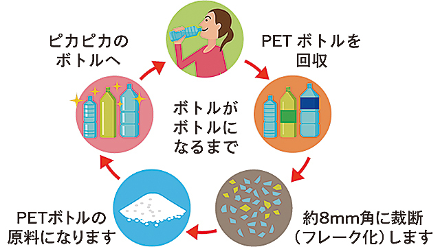 使用済みペットボトルを回収し、またペットボトルにする(ボトルtoボトル技術)