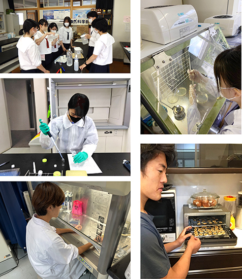 center,center,contain 研究に取り組む様子(左列上段から「秋田県立秋田南高校」「学習院女子高等科」「和歌山工業高等専門学校」、右列上段から「群馬県立太田女子高校」「中央大学附属高校」)