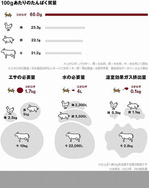従来の家畜とコオロギの比較