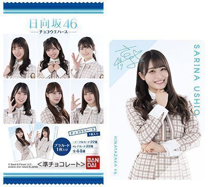 ローソン限定「日向坂46チョコウエハース」とカード例(潮紗理菜)