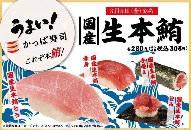 かっぱ寿司「国産生本まぐろ」発売