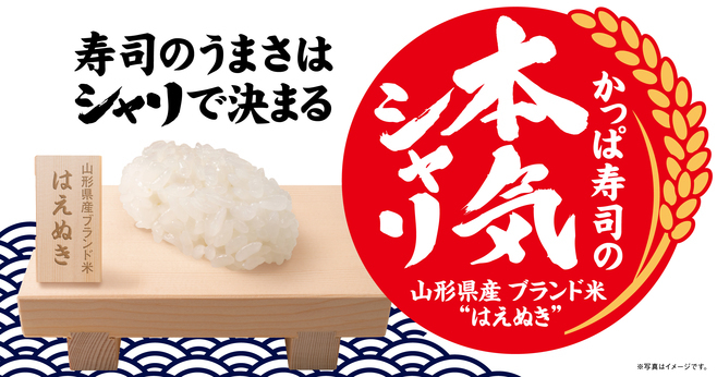 かっぱ寿司がシャリ全面改革、山形県産「はえぬき」単一使用へ