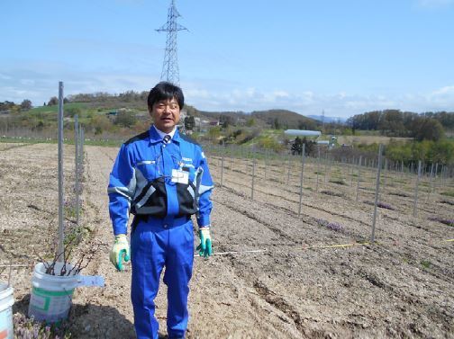 サントネージュ・ニッカ余市ヴィンヤード 宮川取締役