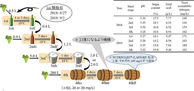 「スケールアップ法」の概略