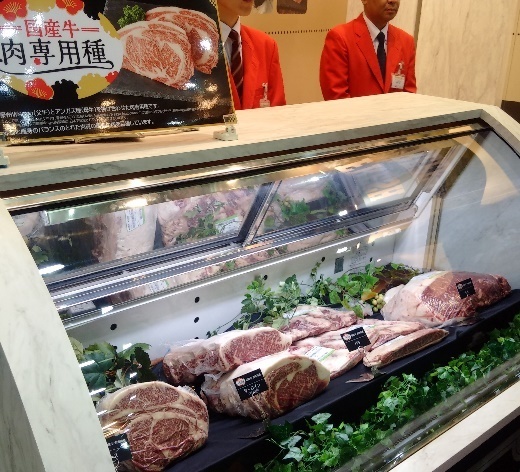 国産牛の「肉専用種」を提案