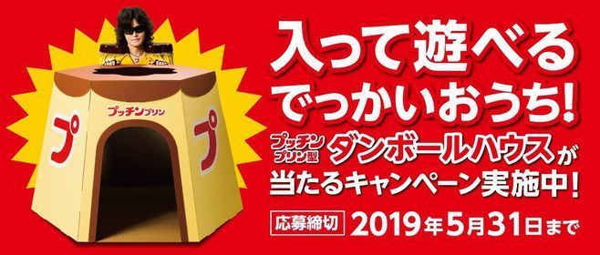 「入って遊べるでっかいおうち!プッチンプリン型段ボールハウスが当たるキャンペーン」イメージ