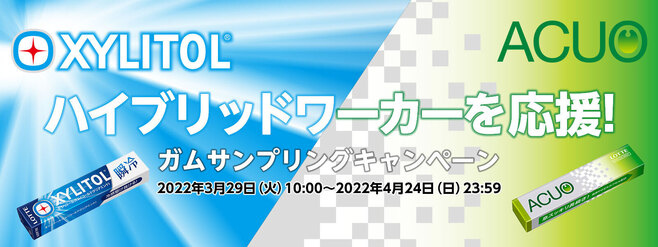 ロッテ「ハイブリッドワーカーを応援! ガムサンプリングキャンペーン」イメージ