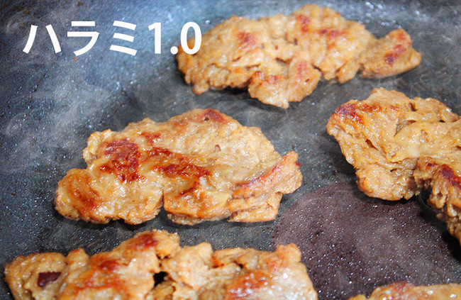 「ネクスト焼肉シリーズ ハラミ1.0」